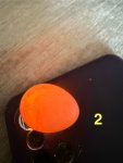 IMG_7525.jpeg