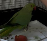 IMG_5016.jpeg