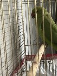IMG_5029.jpeg