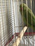 IMG_5028.jpeg