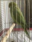 IMG_5027.jpeg
