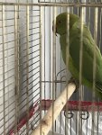 IMG_5023.jpeg