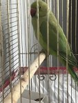 IMG_5025.jpeg