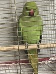 IMG_5032.jpeg