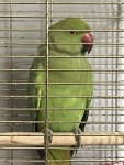 IMG_5034.jpeg