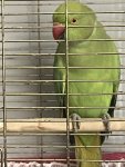 IMG_5035.jpeg