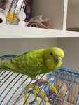 IMG_1711.jpeg