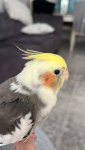 2EE5E588-BE07-4048-8C11-69C13791CABA.jpeg