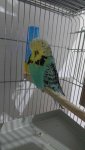Messenger_creation_E43413FF-F9AE-44C2-BD37-743195F55A9F.jpeg