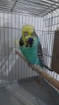 Messenger_creation_B7D0D824-63AA-4B63-9546-FFC7911469C3.jpeg