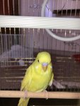 IMG_2881.jpeg