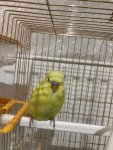 IMG_2884.jpeg