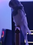 IMG_20250908_172909_817.jpg