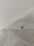 IMG_1949.jpeg