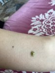 IMG_1948.jpeg