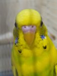 IMG_20250920_220121.jpg