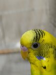 IMG_20250920_220110.jpg