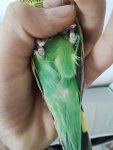 20250921_141018.jpg