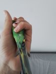 20250921_141117.jpg