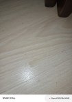 IMG_20250921_163040_102.jpg