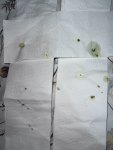 IMG_2292.jpeg