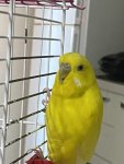IMG_8675.jpeg