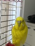 IMG_8676.jpeg