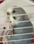 IMG_6431.jpeg