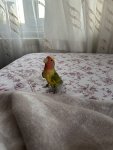 IMG_5221.jpeg