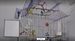 IMG_6549.jpeg