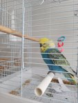 IMG_20250924_095359.jpg