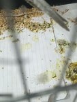 IMG_20250924_225529.jpg