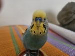 20250925_180404.jpg