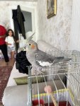 IMG_4894.jpeg