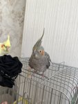 IMG_4893.jpeg