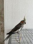IMG_4898.jpeg