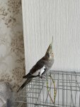IMG_4897.jpeg