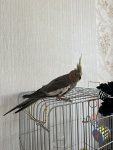 IMG_4895.jpeg