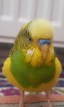 IMG-20250920-WA0000.jpeg
