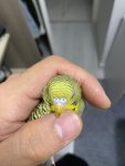 IMG_1309.jpeg