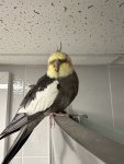 IMG_3087.jpeg