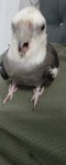 IMG_20250930_211715_1~2.jpg