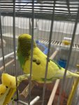 IMG_7933.jpeg