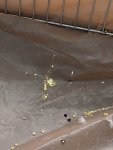 IMG_7934.jpeg