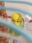 IMG_20251005_120101.jpg