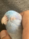 IMG_8272.jpeg