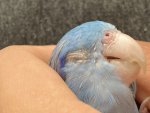 IMG_8275.jpeg