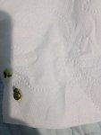IMG_20251005_204840.jpg