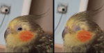 1759688465842.png