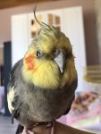 IMG_2169.jpeg